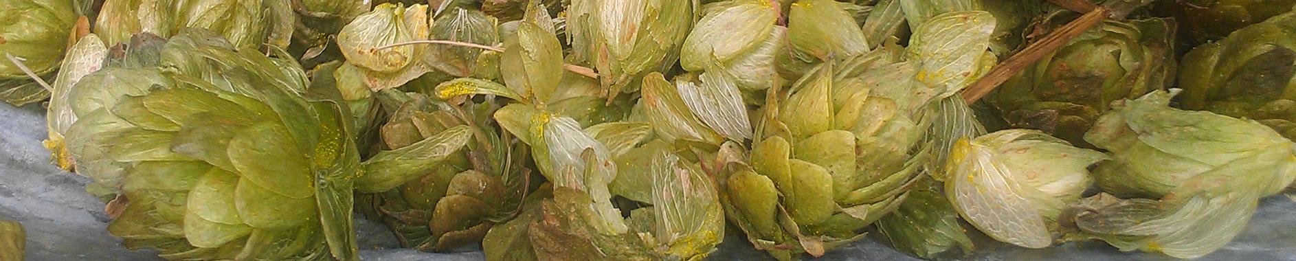 12345h.jpg 12345h.jpg